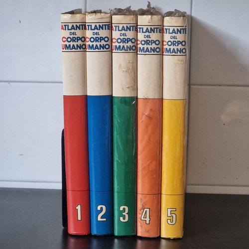 Atlante del corpo umano 5 - umano,