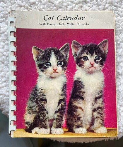 Calendario gatto 1966 vintage - calendario,