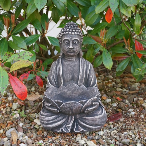 Buddha fiore loto - fiore, di