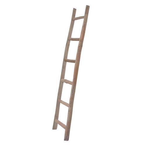 Biscottini scaletta porta - biscottini,
