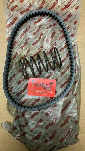 Kit ricambio cinghia molla - kit,