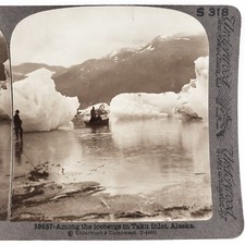 Taku Tidewater Glacier Inlet