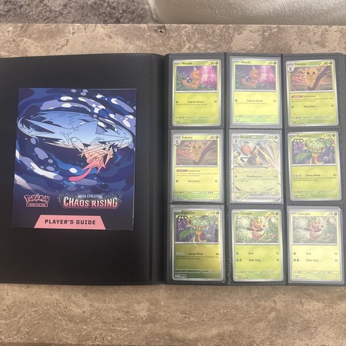 Pokemon chaos rising - pokemon, near