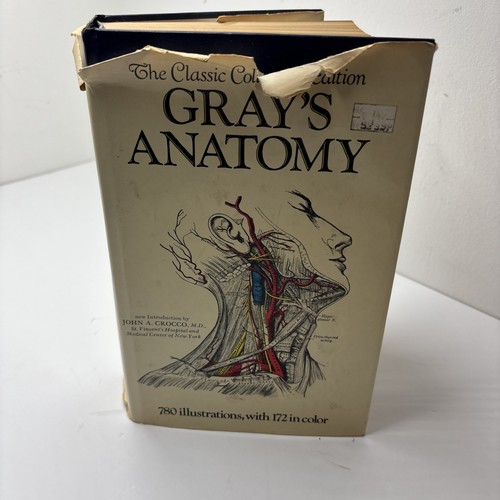 1977 vintage science book - vintage,