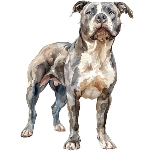 Adesivi pitbull auto - pitbull,