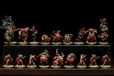 Blood Bowl Pro Painted Team