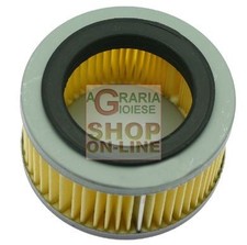 11894 FILTRO ARIA PER