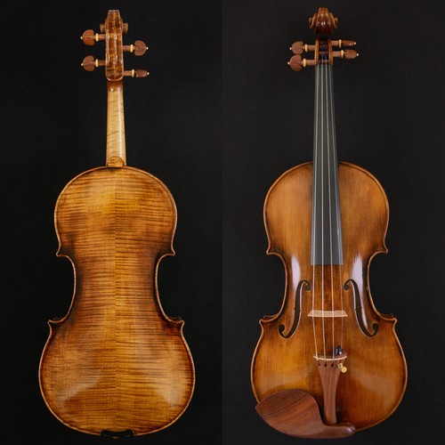 Splendido violino suono - splendido,