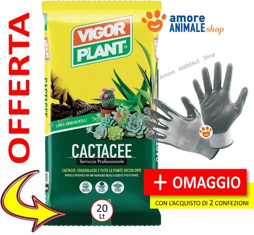 Vigorplant terriccio cactacee - terriccio,