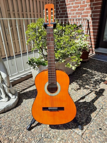 Concerto guitar di - -, frank