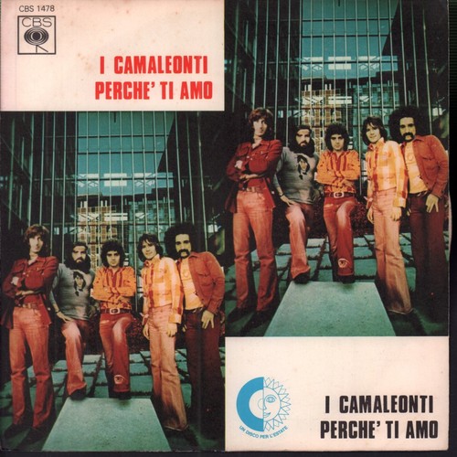 Camaleonti perché amo 7 - camaleonti,