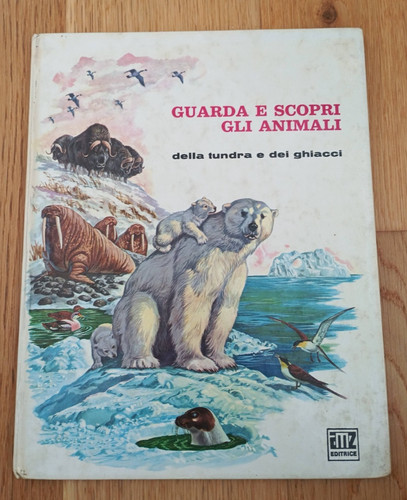 Guarda scopri gli - guarda,