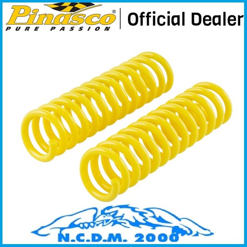 Coppia molle forcella - molle,
