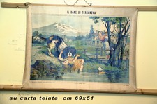 tavola parietale ed.PARAVIA