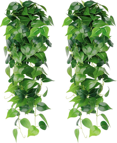 Pezzi piante pendenti - pezzi,