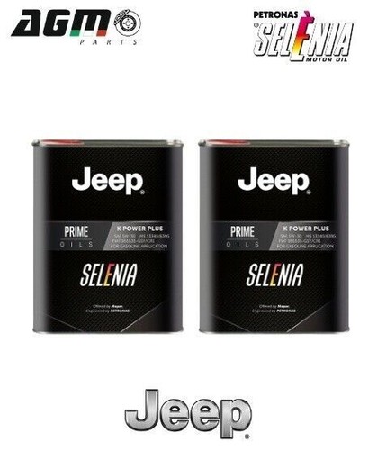 Olio motore litri selenia - 4,