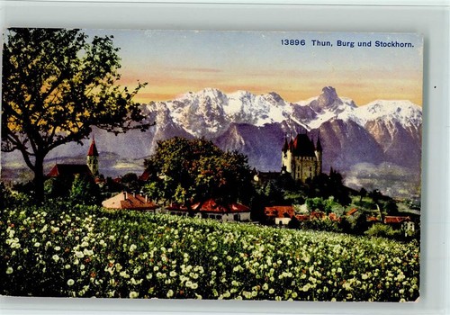 11060900 castello thun - 11060900,