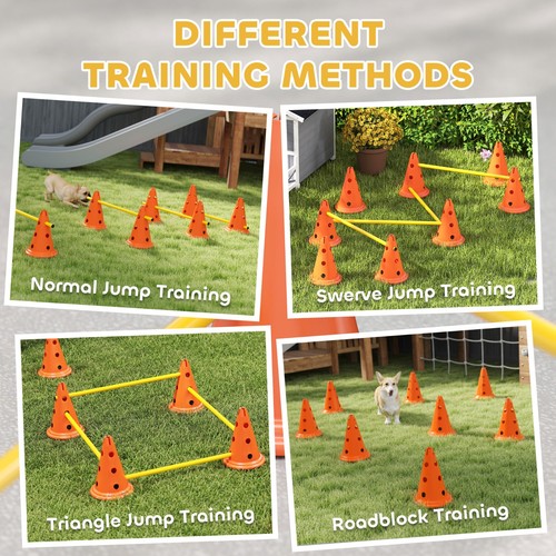 Set attrezzatura agility per - set,