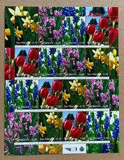 San Marino 2010 - Fiori -