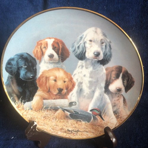 Franklin mint school daze - franklin, daze"