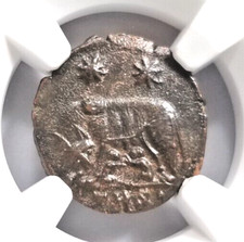 Gemelli Lupo Costantiniani NGC