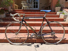 Bici Corsa Bottecchia, 21 rapporti.