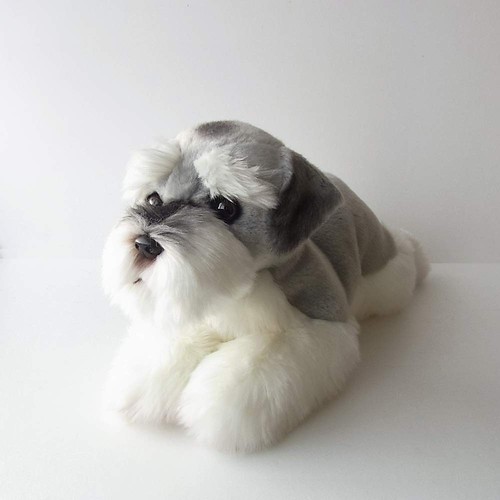Ninian kino cagnolino - kino,