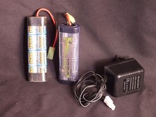 Caricabatterie e 2 batterie
