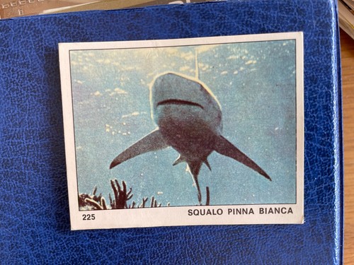 Panini album mondo degli - mondo,