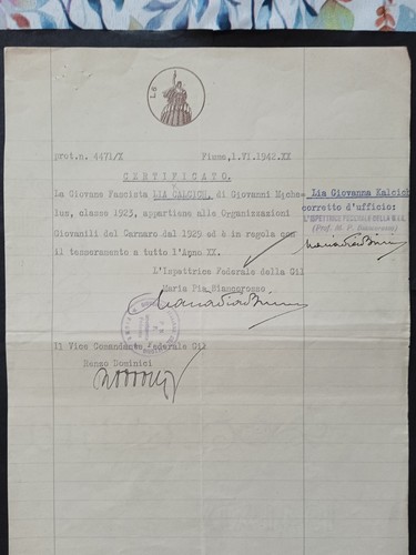 Documento carta bollata - carta,