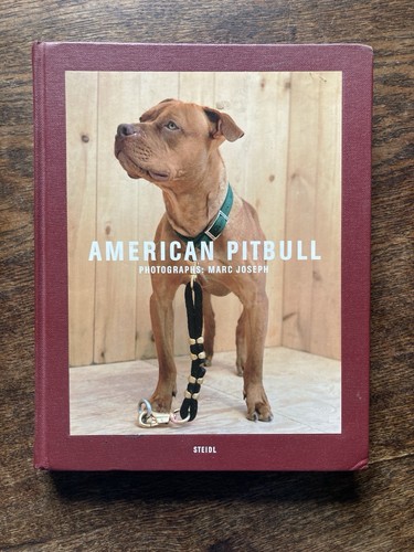 American pitbull james frey - american,