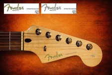 1  Fender Stratocaster Std