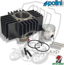 115.0068 GRUPPO TERMICO POLINI