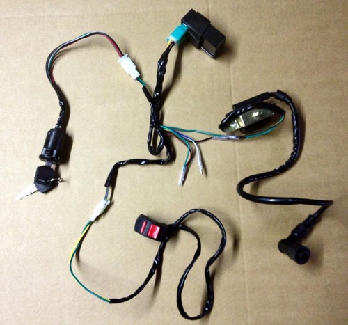 Nuovo cablaggio barile 5 pin - +,