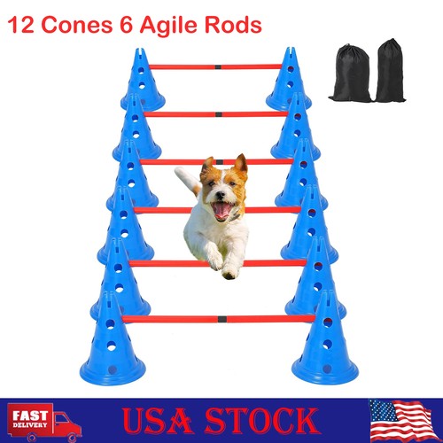 Outdoor dog agility training - agility,