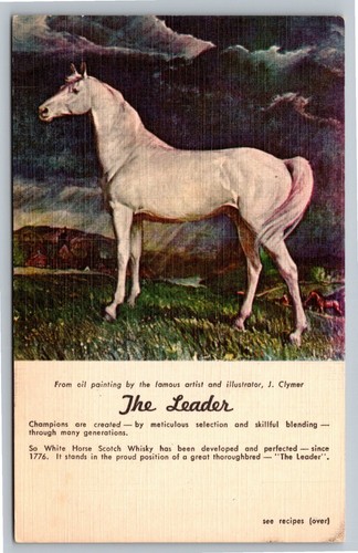 Cartolina pubblicitaria white - cartolina,