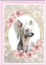 Biglietto Auguri Cane Crestato