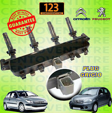 Bobina Accensione Citroen C2