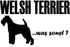 ADESIVO WELSH TERRIER sticker