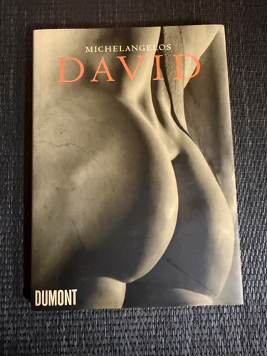 Michelangelos david von - david,