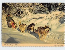 Cartolina Cane Slitta Corsa in