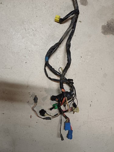 Cablaggio completo sv650 - completo, 2002