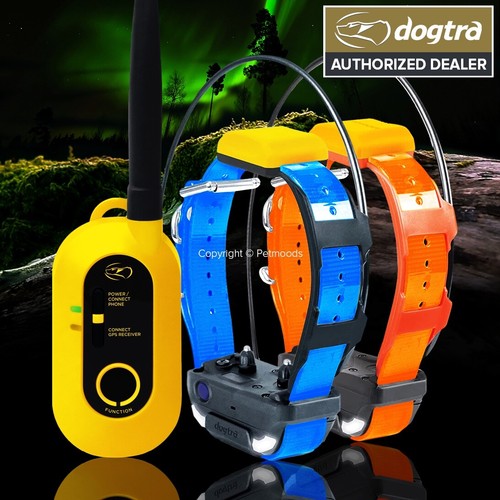 Dogtra pathfinder2 collare gps - pathfinder2,