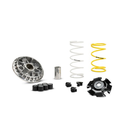 Variatore malossi multivar - variatore,