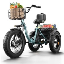 Electric Trike for Adults 960W