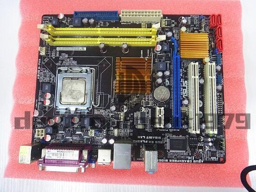 1pz scheda madre asus - madre, desktop