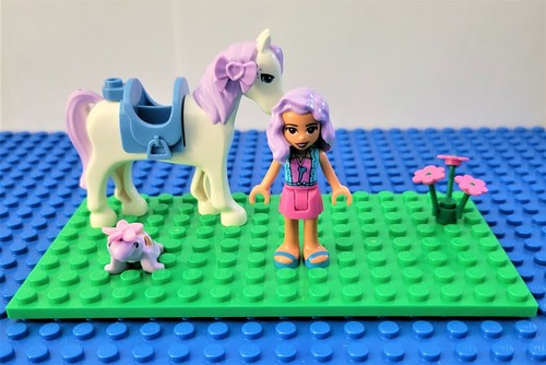 Lego friends minifigures - friends,