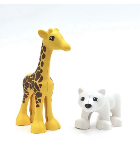 Zoo baby giraffa 1 - baby,