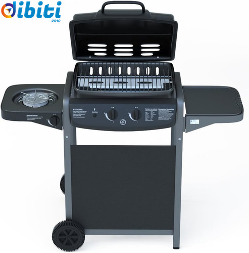 Barbecue gas con termometro - con,