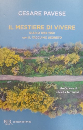 Mestiere vivere cesare - vivere,